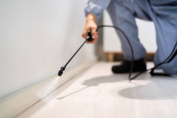 Professional exterminator conducting IPM assessment in Eagleton Village